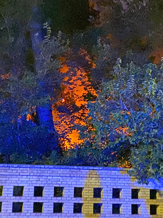 Pescara - Incendio nella Pineta: i vigili lo domano